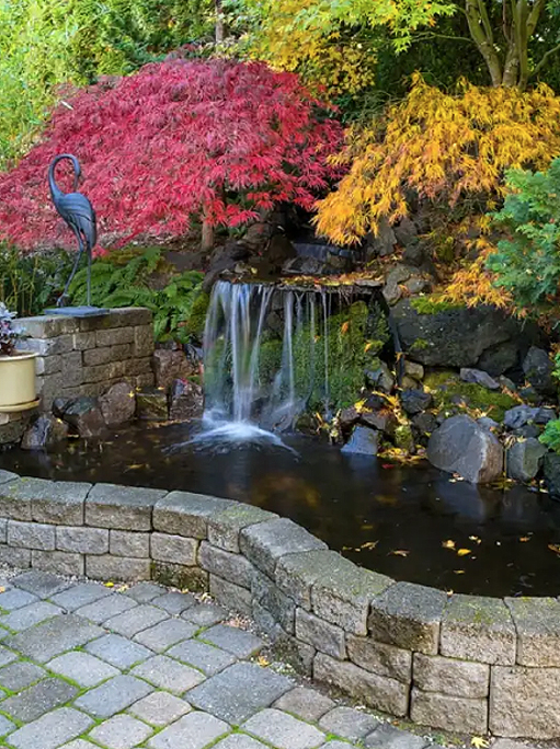 landscaping water feature in jacksonville fl